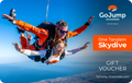 Tandem Skydive